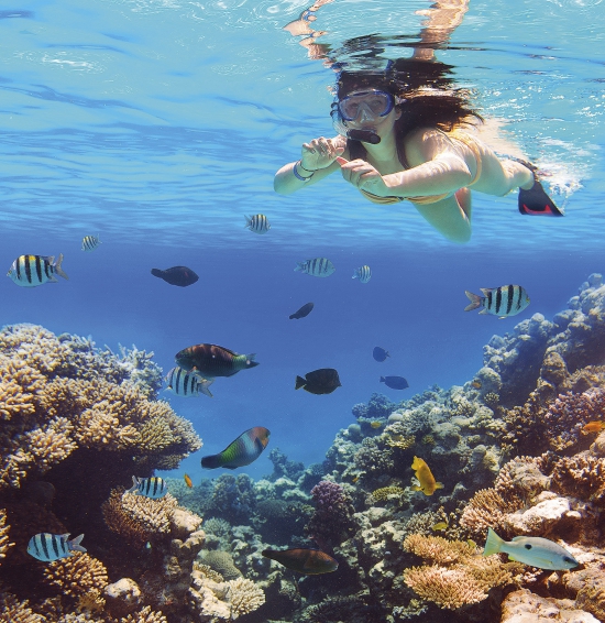 Hurghada az idén újra jól teljesített (Fotó: Shutterstock)