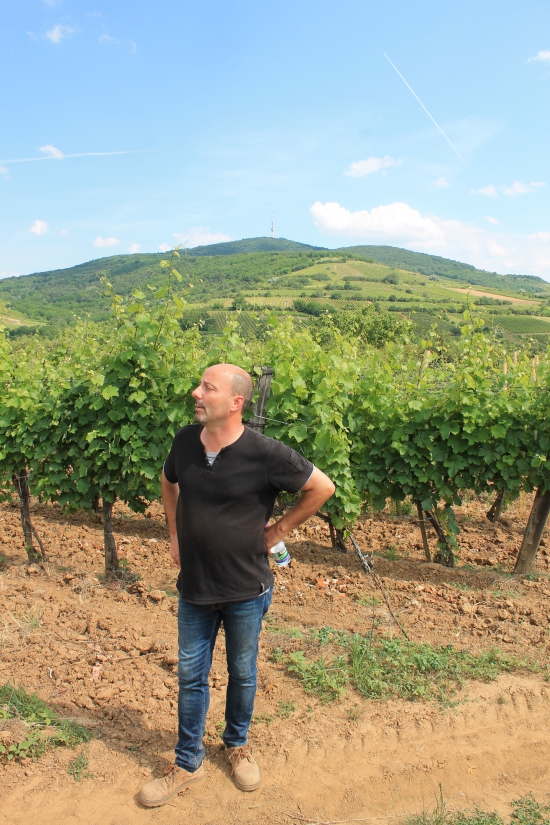 Kancler András borász a Basilicus borairól mesél, háttérben a tokaji Kopasz-hegy