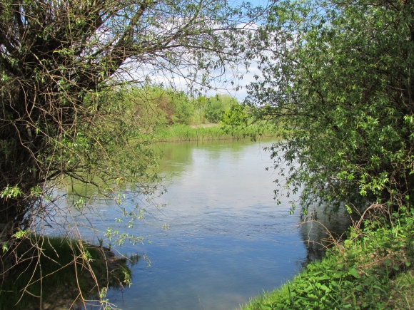 A hangulatos Hernád-folyó, Hernádkaknál (Fotó Mentusz Károly)