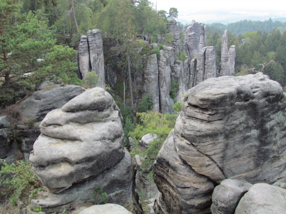Különleges formájú sziklák a fenyők között (Fotó Mentusz Károly)