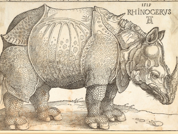 Albrecht Dürer, Das Rhinozerus, 1515 © ALBERTINA, Wien 