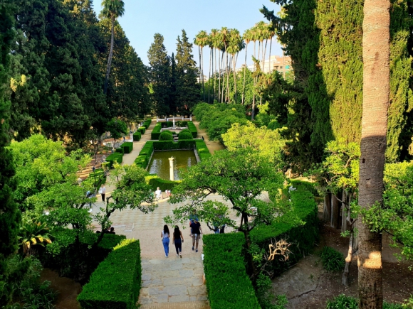 Az Alcázar kertjei legjobban a palotákat körülvevő falra felkapaszkodva csodálhatók meg