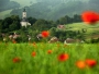 Hazánkban járt az Európai Virágos Városok és Falvak verseny zsűrije