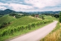 Ausztriában így alkalmazkodnak a borászok a klímaváltozáshoz