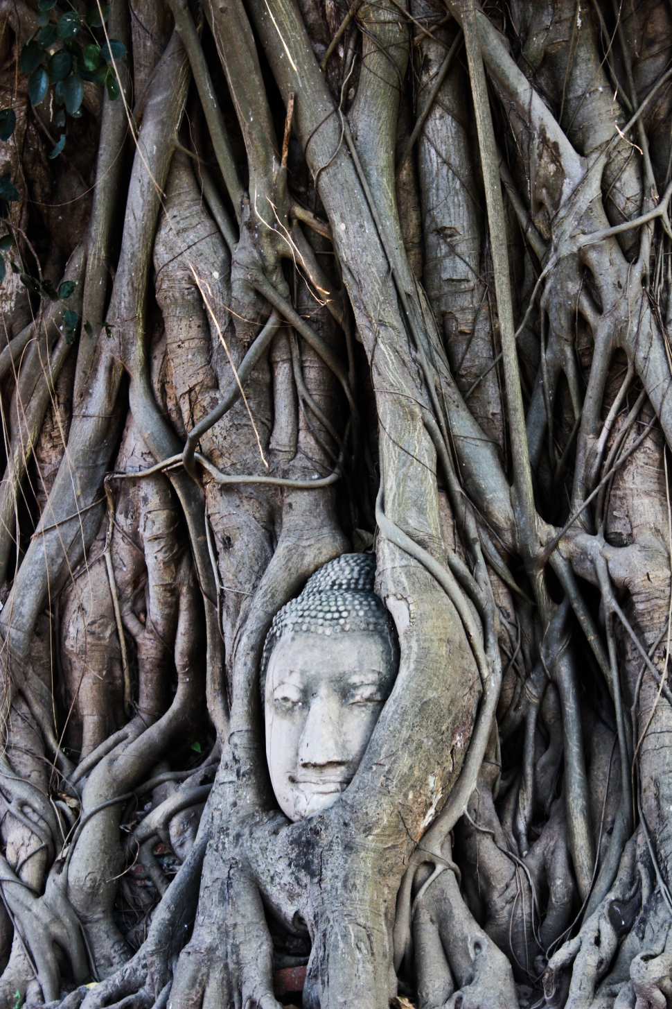 Buddha-szobor feje homokkőből (Fotó: Berende Alexa)