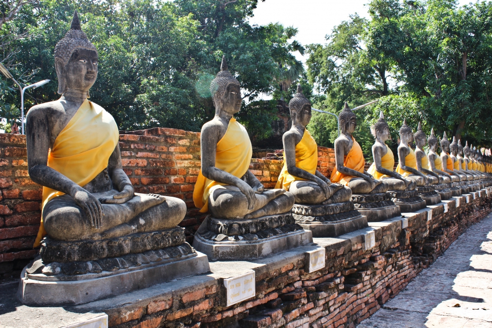 Buddha-szobrok a Wat Yai Chai Mongkol területén (Fotó: Berende Alexa)