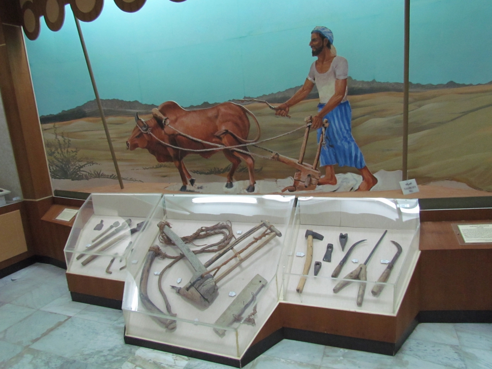 A földművelés régi eszközei a múzeumban (Fotó: Mentusz Károly)