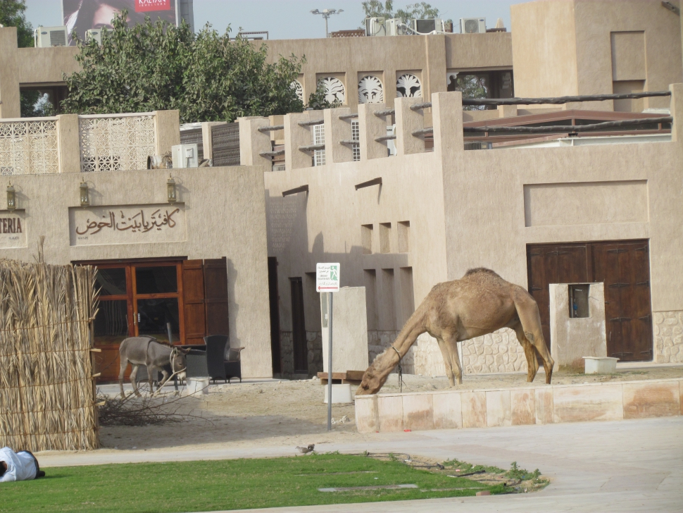 Tevét és szamarat is lehet venni Dubaj óvárosában (Fotó: Mentusz Károly)